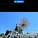 ���� �����, ���������, 41 ��� - ��������� 27 ������� 2023