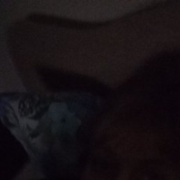 �������, ������, 45 ���