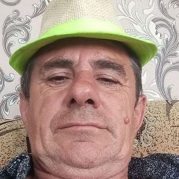������, �������, 56 ���