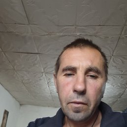 , 46, 