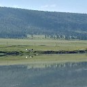 ���� ����, ����, 75 ��� - ��������� 6 ���� 2024 � ������ ���� ����������