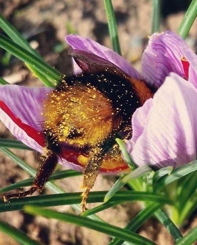 �� �c�a�oc�� ��e�� �ac��a�� �p��o � ��e��a�, � �o���o �o��a�a� ��o��a�, ��c�a��e��a� ��� �c�pa�e���, ... - 5