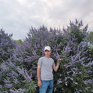 �������, 55 ���, ������