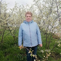  , 63, 