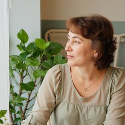 �����, �����������, 53 ����