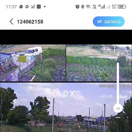 ���� ������, �����������, 46 ��� - ��������� 24 �������� 2026