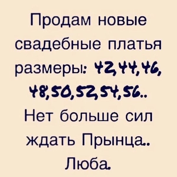  - 24  2025  10:19