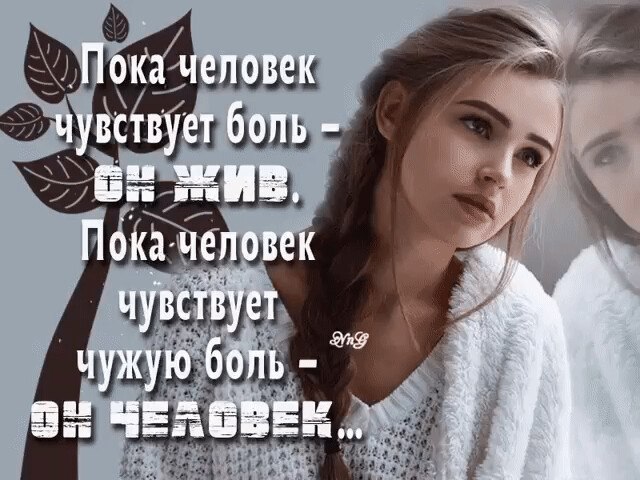 ������� - 12 ���� 2026 � 18:49