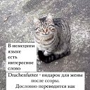���� �����.�� ��������! ��!, ������ �����, 47 ��� - ��������� 9 ������� 2025 � ������ ���� ����������