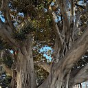 ���� Vika, ���� - ��������� 19 ������ 2026 � ������ ������ ��������, �������.�