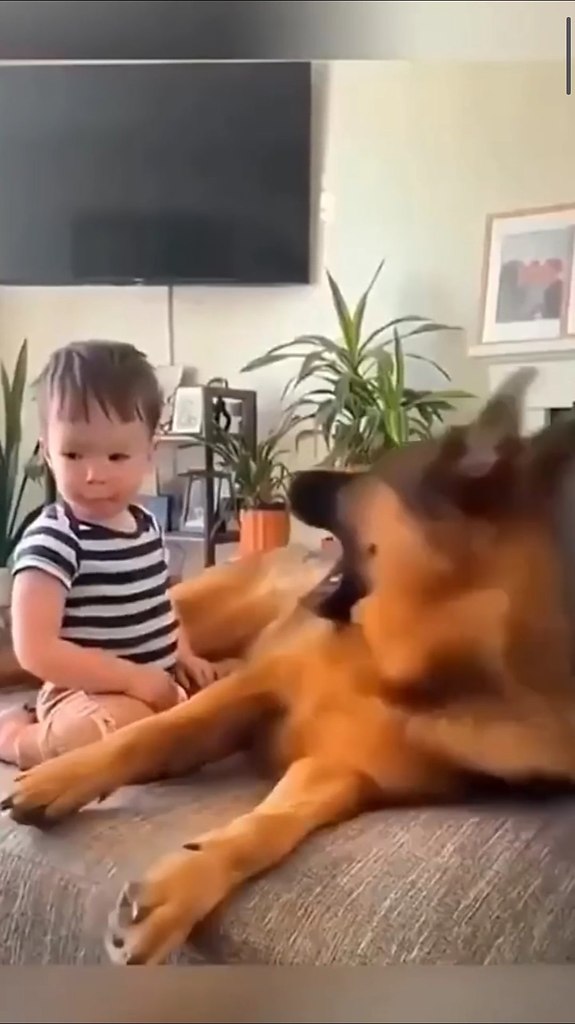 Ba� ���� �������, ��� ������ ���e� �� ����� - 2