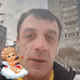 , 34, 