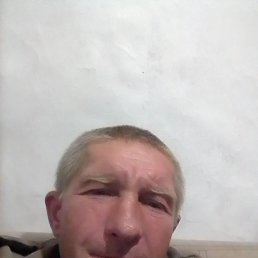 , 40 , 