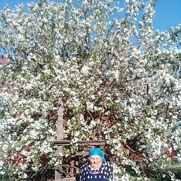 ����������, ������ ��������, 67 ���