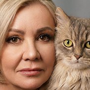 ������, , �����������