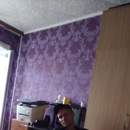 �����, ������, 41 ���