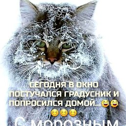 ���, ��������, 42 ����