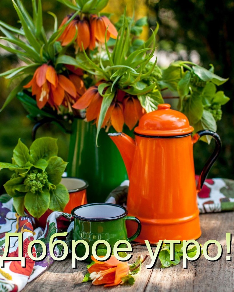 1 . .  !      ,     ...