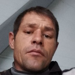 �������, ������, 41 ���