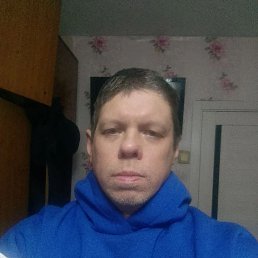 ���� ������, �����, 41 ��� - ��������� 20 ������ 2026