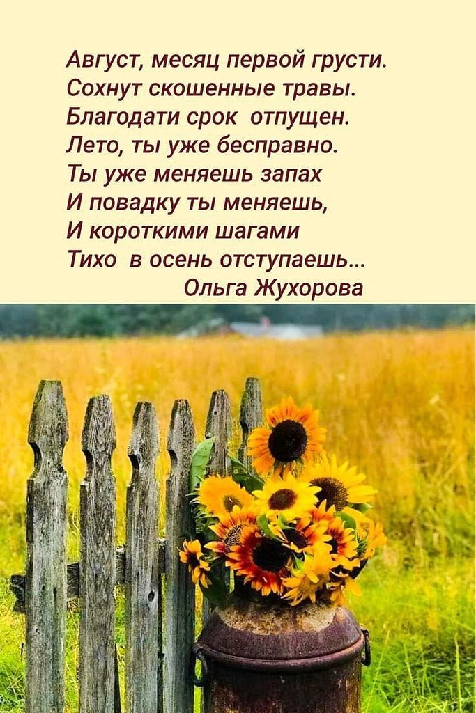  - 28  2025  13:22