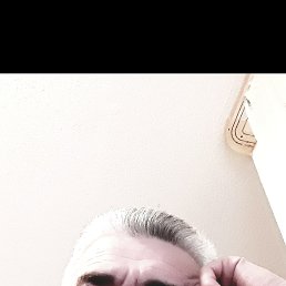  Roma, ʸ, 49  -  29  2024