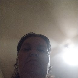 , 41 , 