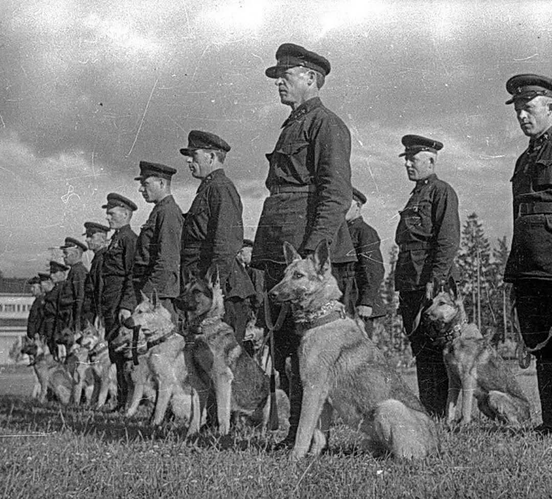 :)   .    1941         ...
