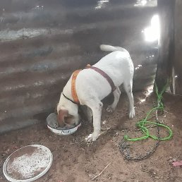 Lieuttna, �����, 25 ���