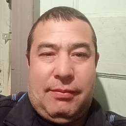 ��������, ������, 43 ����