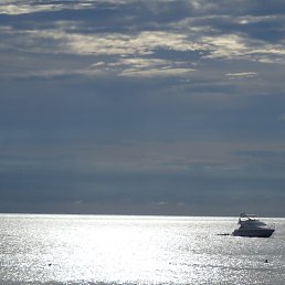 �����, ������