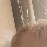 �����, 38 ���, �������