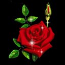 ���� �������, �����������, 49 ��� - ��������� 28 �������� 2025 � ������ ������