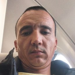 ����� ���������, �����������, 33 ����