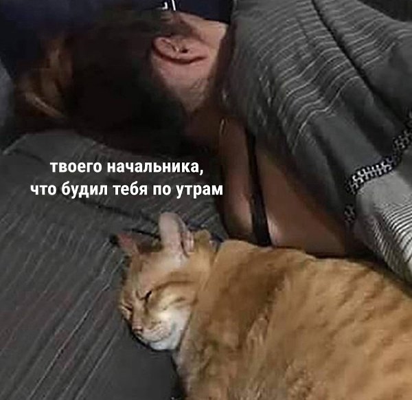 ���� - 26 ���� 2025 � 07:36 - 2