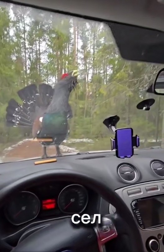 ec  cpe ap. o  oe pe, o oo ee aac.