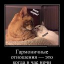 ���� ���������, ������ - ��������� 14 ������� 2026 � ������ ��������, ������