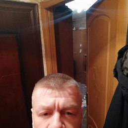 �����, 41 ���, ������