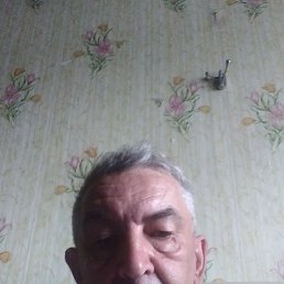 , 62, 