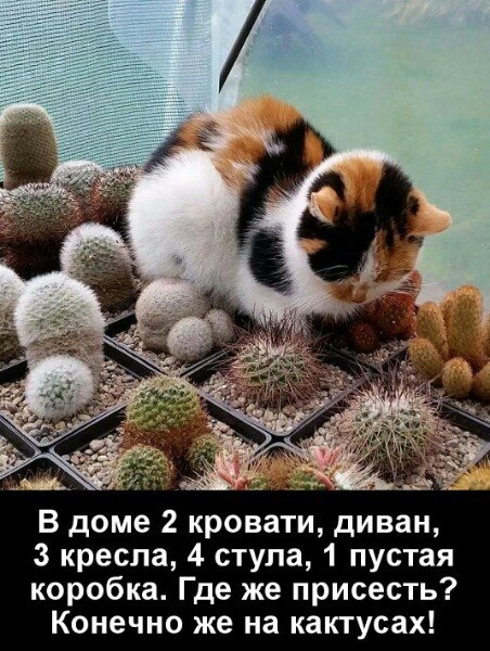  - 19  2023  16:07