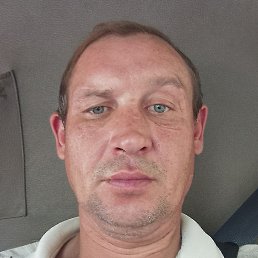 �������, ���������, 43 ����