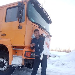 �������, 40 ���, ����-������