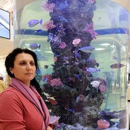 , 46, 