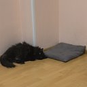 ���� Kkk, �����-���������, 23 ���� - ��������� 5 ����� 2024 � ������ ���� ����������