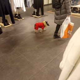 , , 30 