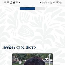 , 38, 