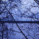   ......), , 50  -  21  2025    