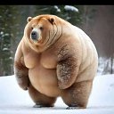 ���� �����, ����������� - ��������� 25 ������� 2025 � ������ ������ ��������