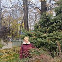 ���� ����� ����������, ������������, 56 ��� - ��������� 20 ������ 2024 � ������ ���� ����������