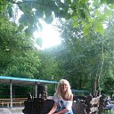 ���� ����, ��������� - ��������� 29 ������ 2025